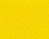 Bright yellow textured background with small patterns.