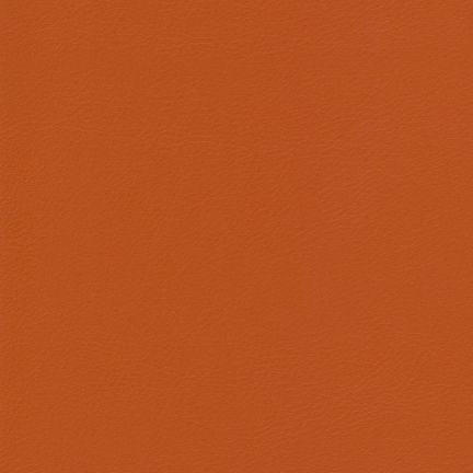 Solid burnt orange color background.