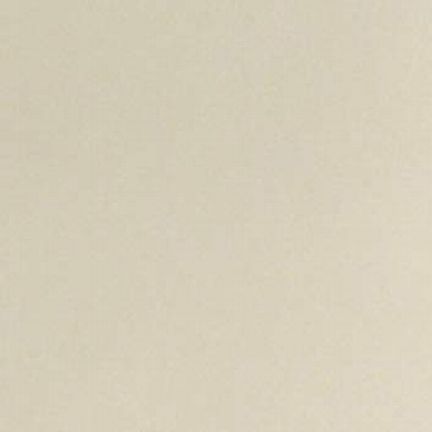 Plain beige or off-white textured surface.