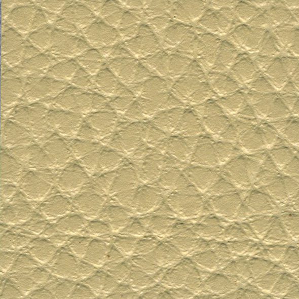 Close-up of beige textured leather surface.
