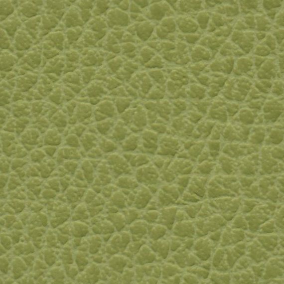 Close-up of textured green leather material.