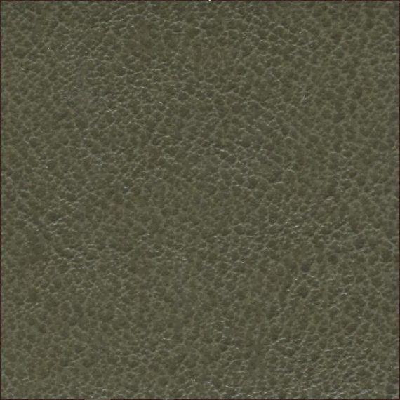Close-up of textured olive green leather surface.