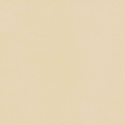 Solid beige color background.