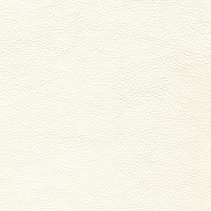 A plain, textured white paper background.