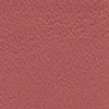 Close-up of reddish textured leather material.