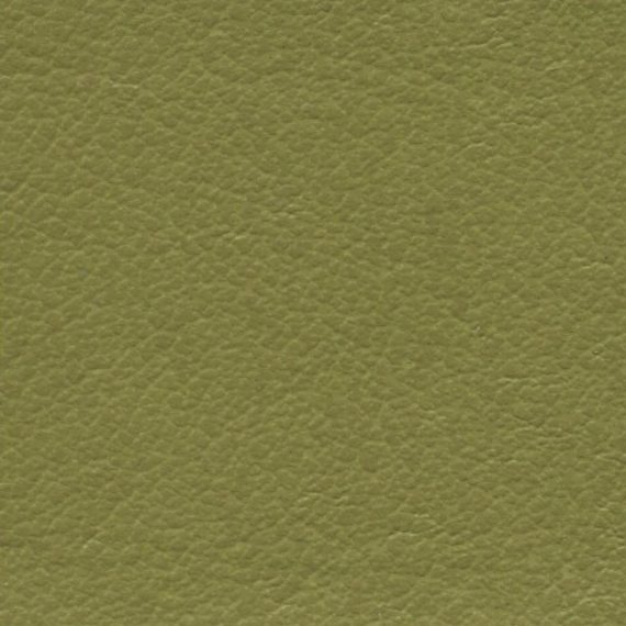 Close-up of olive green textured fabric.