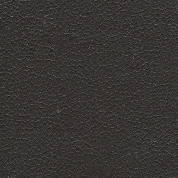 Close-up of textured black leather surface.