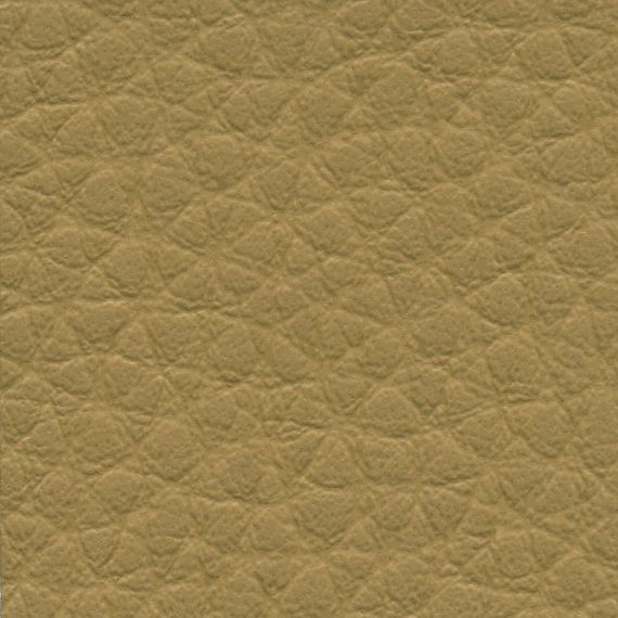 Close-up of textured tan leather surface.