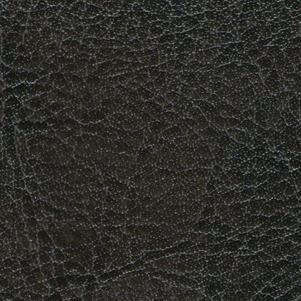 Close-up of textured black leather surface.