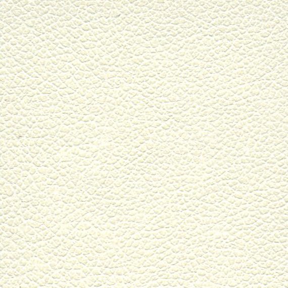 Plain textured off-white paper background.