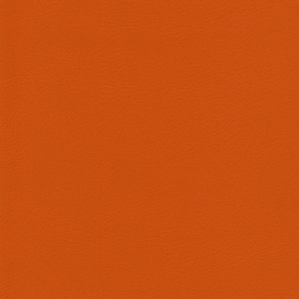 Solid burnt orange color background.