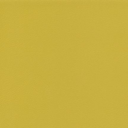 A solid mustard yellow background with a smooth texture.