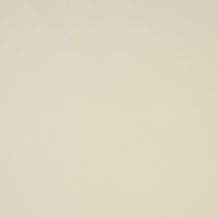 Plain beige surface with no distinct features.
