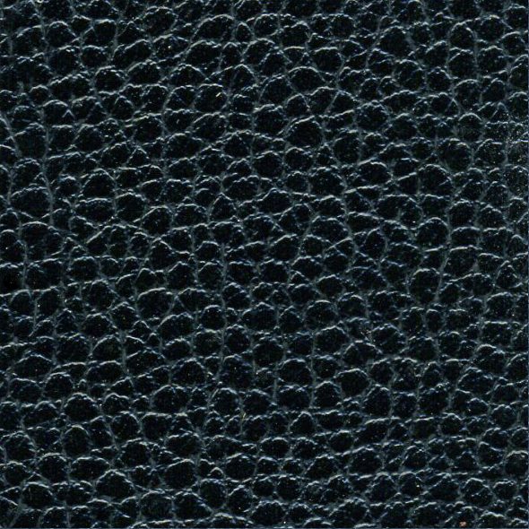 Close-up of black textured leather surface.