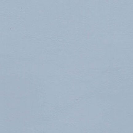 A plain light blue textured background.