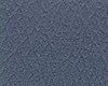 Close-up of textured blue-gray surface with intricate patterns.