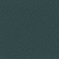Close-up of dark teal textured surface.