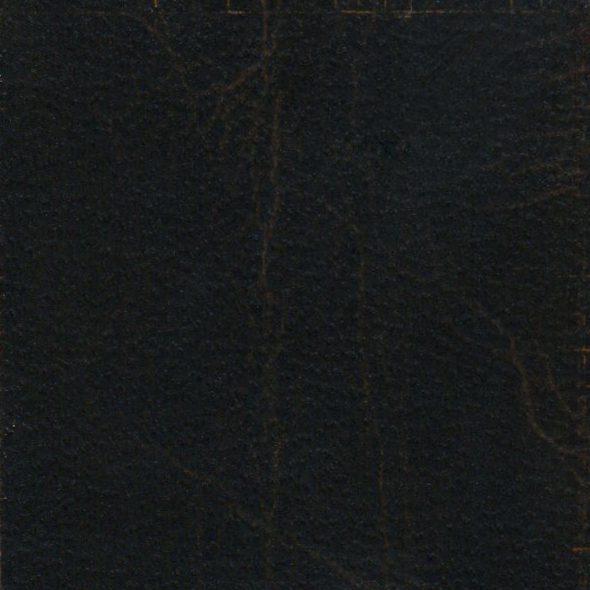 Close-up of dark textured leather material.