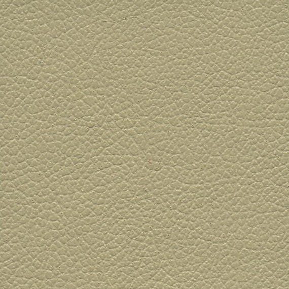 Close-up of beige textured leather surface.