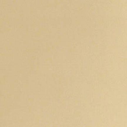 Plain beige background with subtle texture.