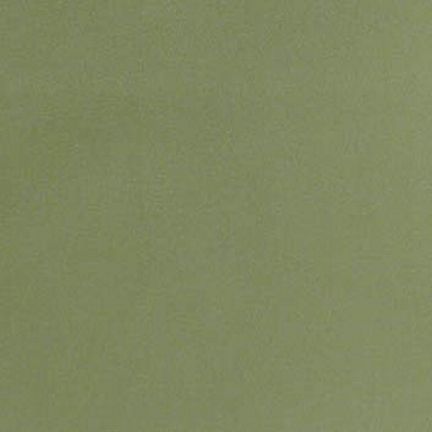 Solid olive green textured surface.
