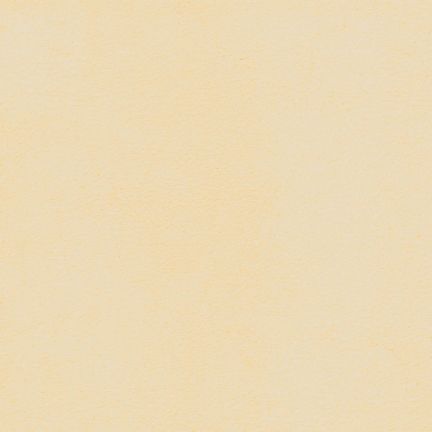 A plain light beige background with no distinct features.