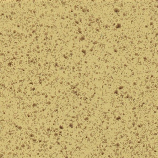 Close-up of a beige speckled surface with small dark spots.