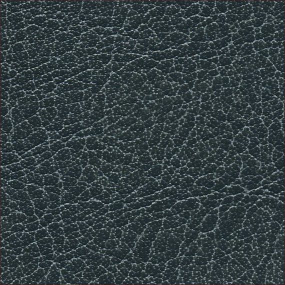 Close-up of textured dark leather material.