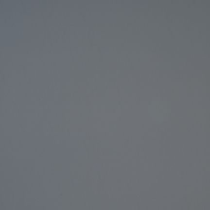 A plain gray surface with no distinct features.