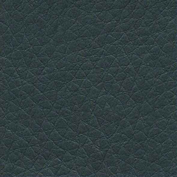 Close-up of dark textured leather surface.