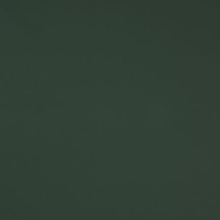 Solid dark green background with no distinct features.