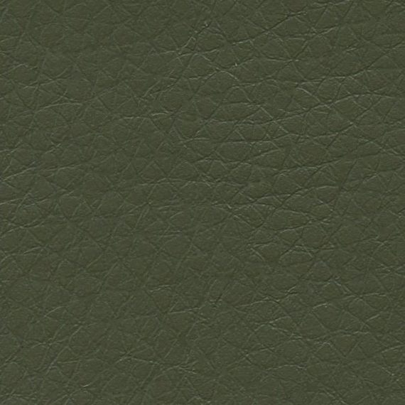 Close-up of dark green textured leather surface.