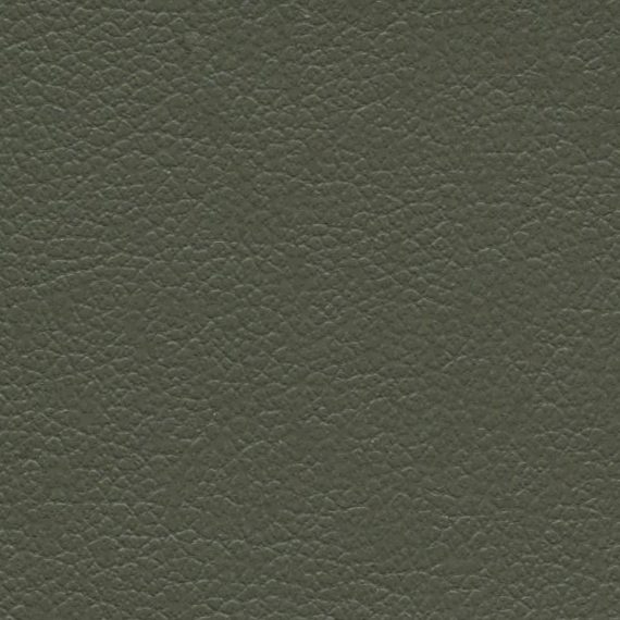 Close-up of textured dark gray leather surface.