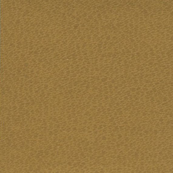 Close-up of a textured brown surface.
