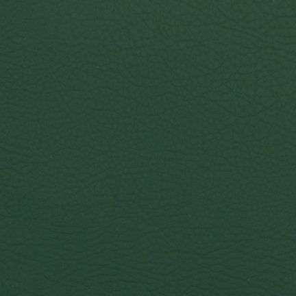 Close-up of dark green textured leather surface.