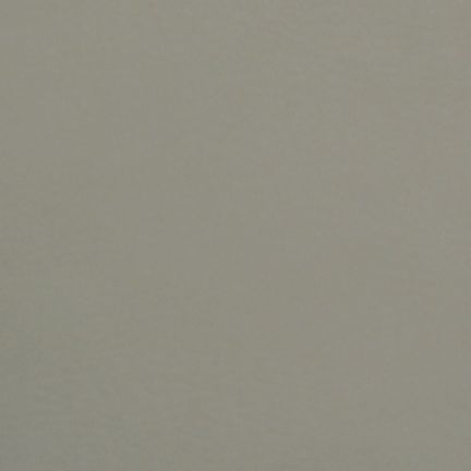 Plain gray surface with no distinct features.