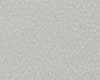 A close-up of a textured gray surface with fine irregular patterns.