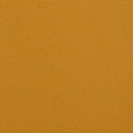 Solid mustard yellow color background.