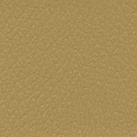 Close-up of textured tan leather surface.