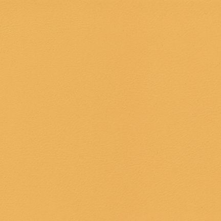 Solid mustard yellow background with a smooth texture.
