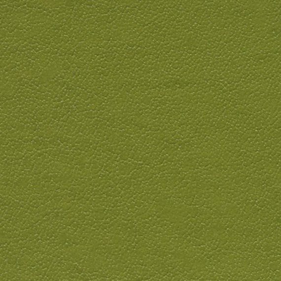 Solid olive green textured background.