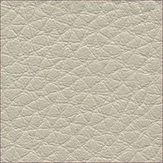 Close-up of textured beige leather surface.
