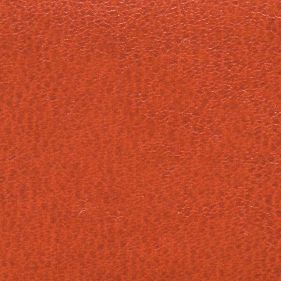 Close-up of orange textured surface.