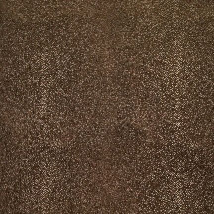 Close-up of a textured brown surface with subtle variations.