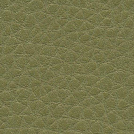 Close-up of textured olive green leather surface.