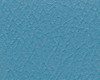 Close-up of textured blue surface with fine detail.