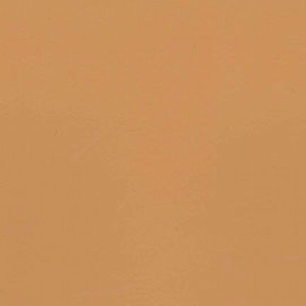 A plain solid tan color background.