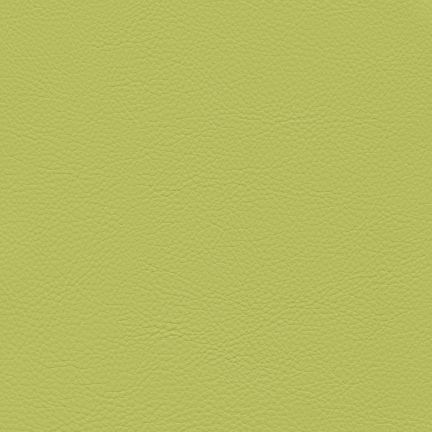 Solid olive green textured background.