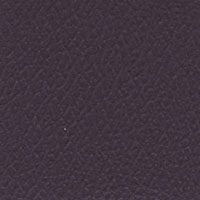 Close-up of a dark purple textured surface.
