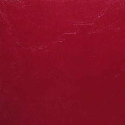 Close-up of a textured red surface.